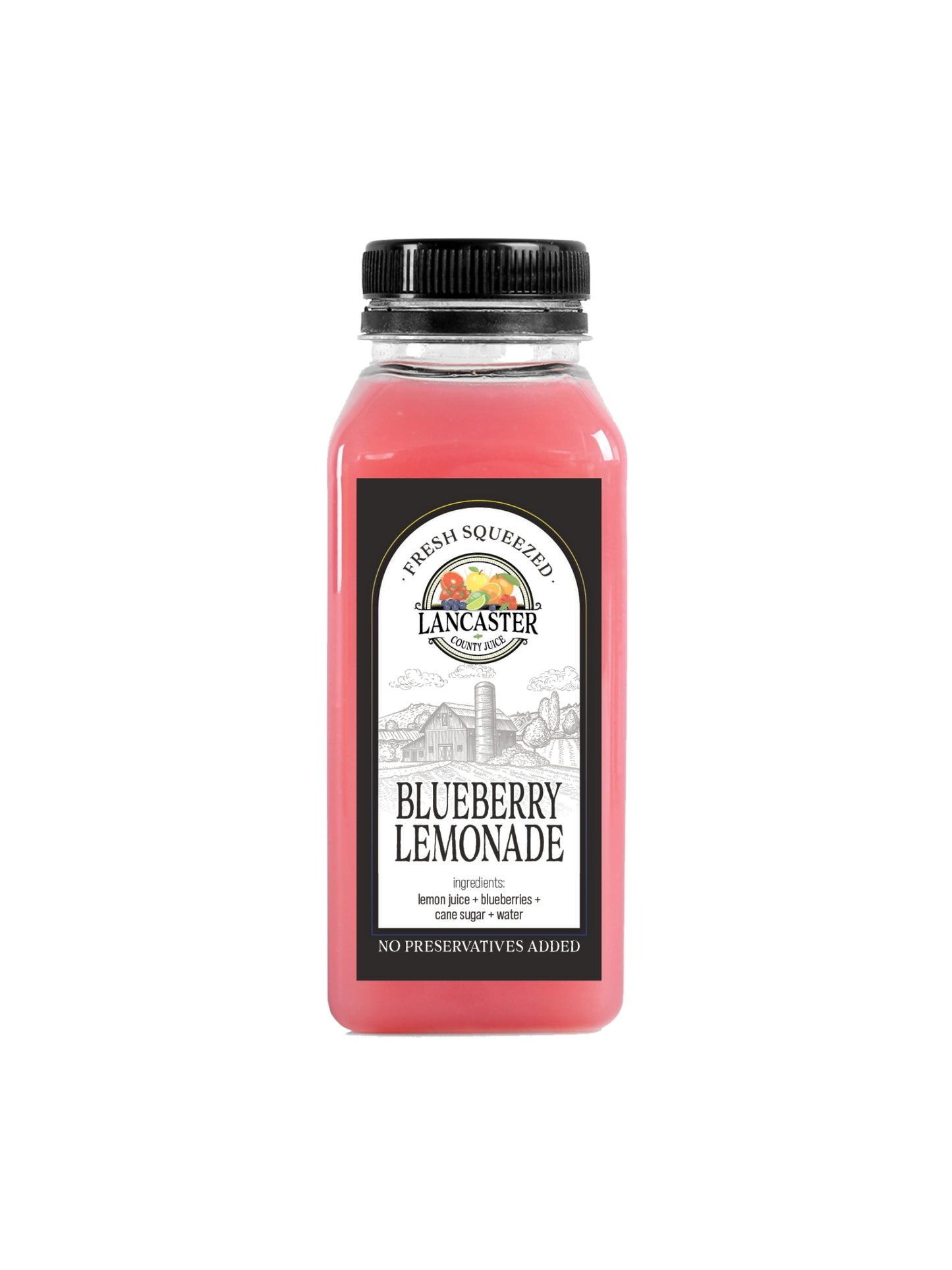 Blueberry Lemonade (32 oz)